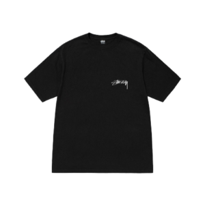 arachnid-tee-pigment-dyed-black